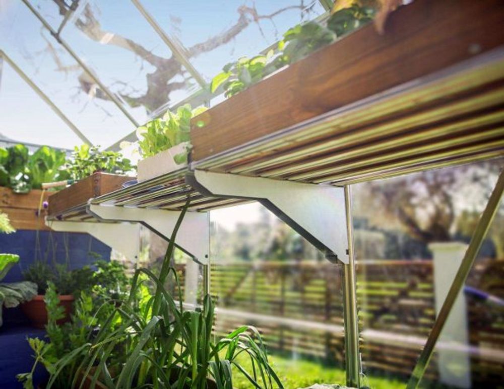 Canopia by Palram heavy duty hyllesett til drivhus