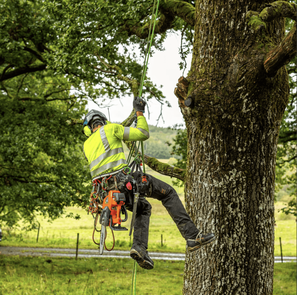 Echo DCS-3000T batteridreven motorsag 30 cm