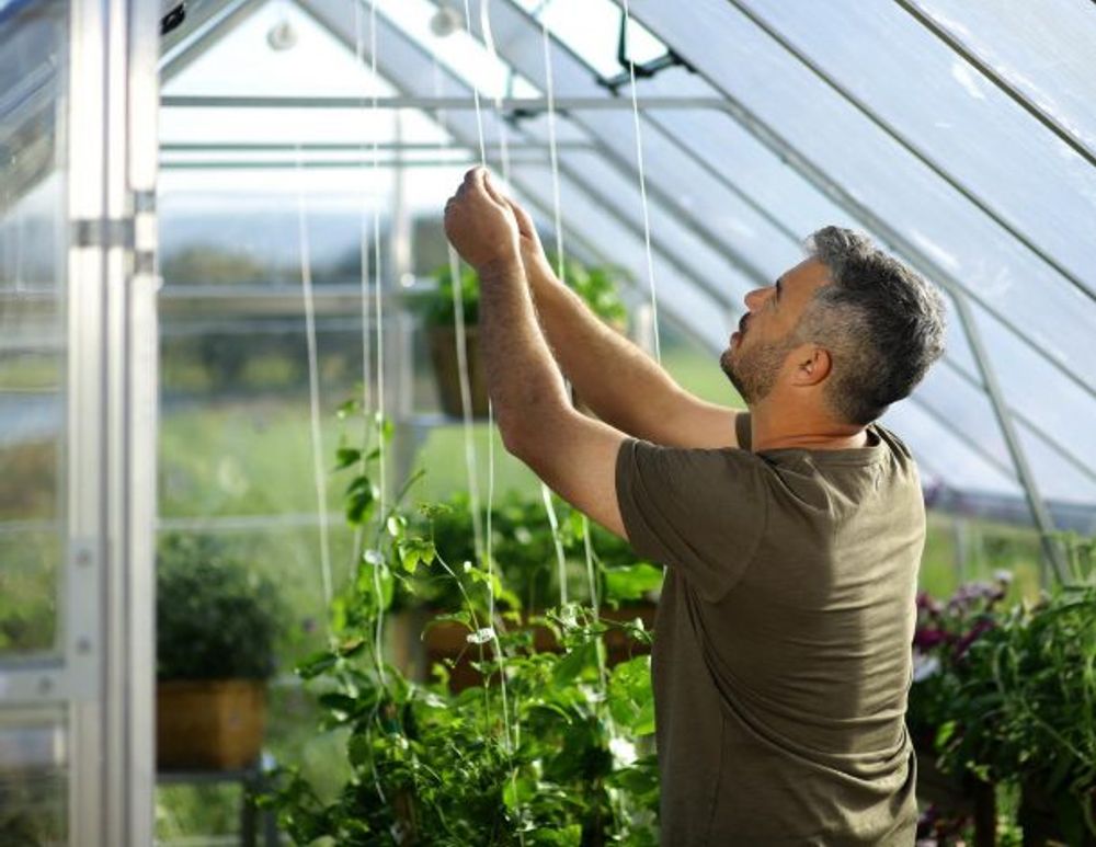 Canopia by Palram Balance drivhus 964 x 304 cm Sølv