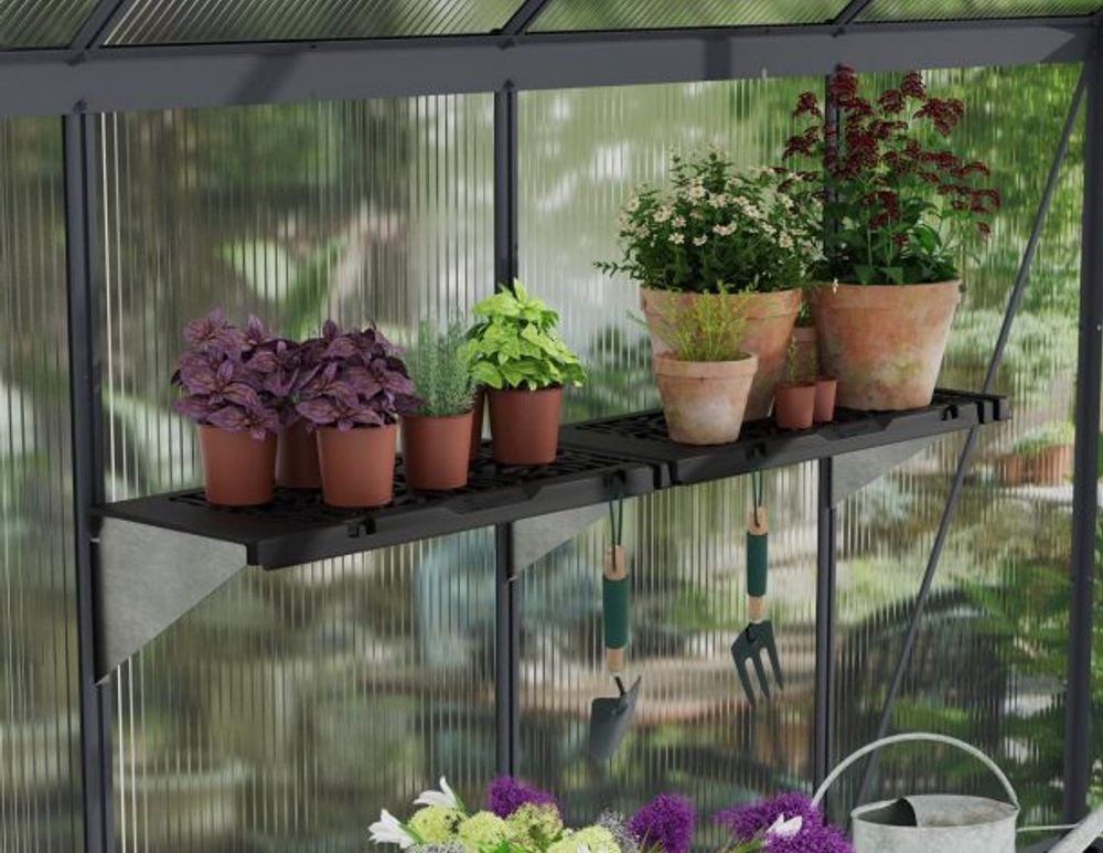 Canopia by Palram - Drivhus hyllesett Signature 8Pk