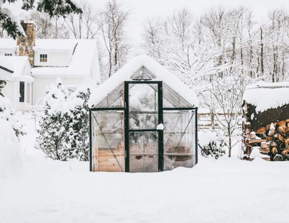 Canopia by Palram drivhus Harmony 247 x 185 cm sølv 